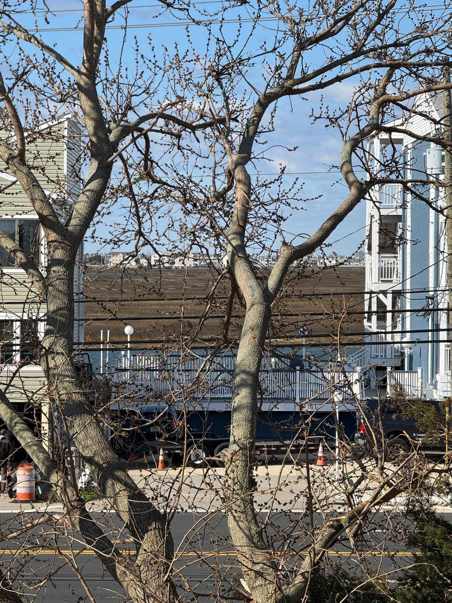 514 W Pine Ave North Wildwood, NJ 08260